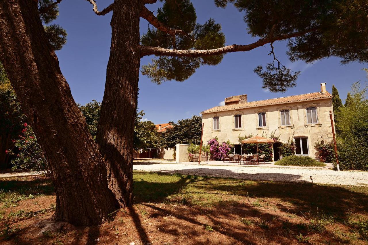 Maison Tara Verte Au Mas Montredon Arles Exteriör bild