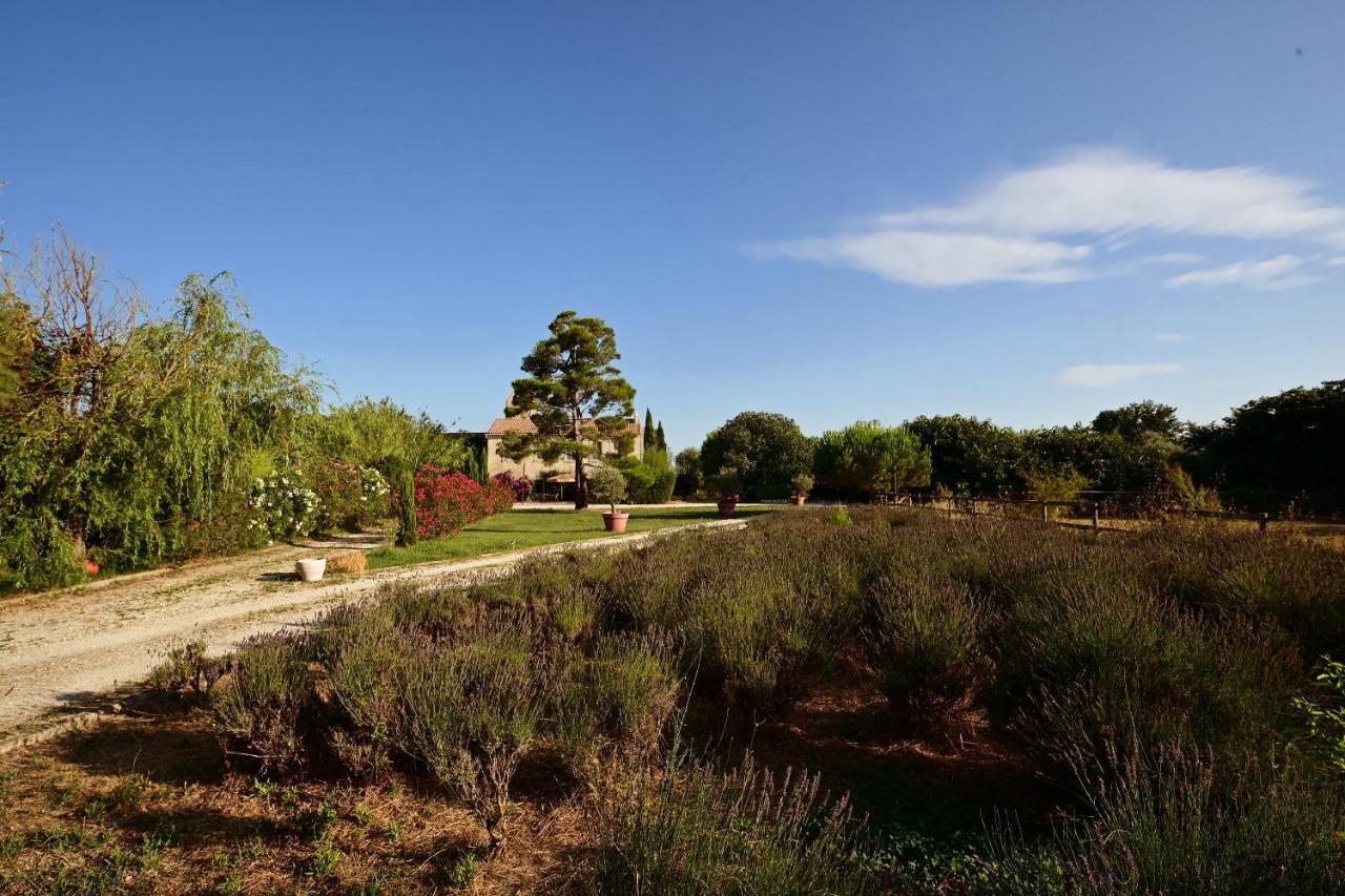 Maison Tara Verte Au Mas Montredon Arles Exteriör bild