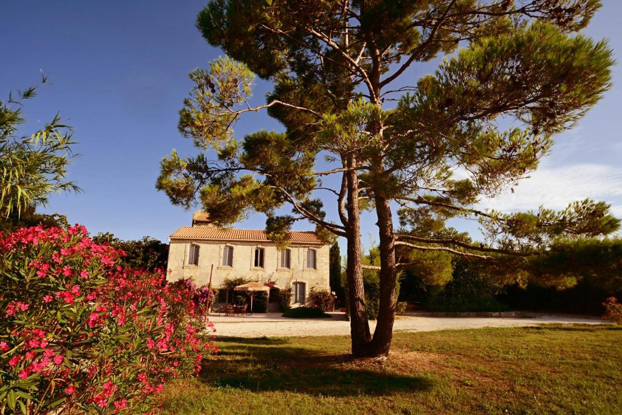 Maison Tara Verte Au Mas Montredon Arles Exteriör bild