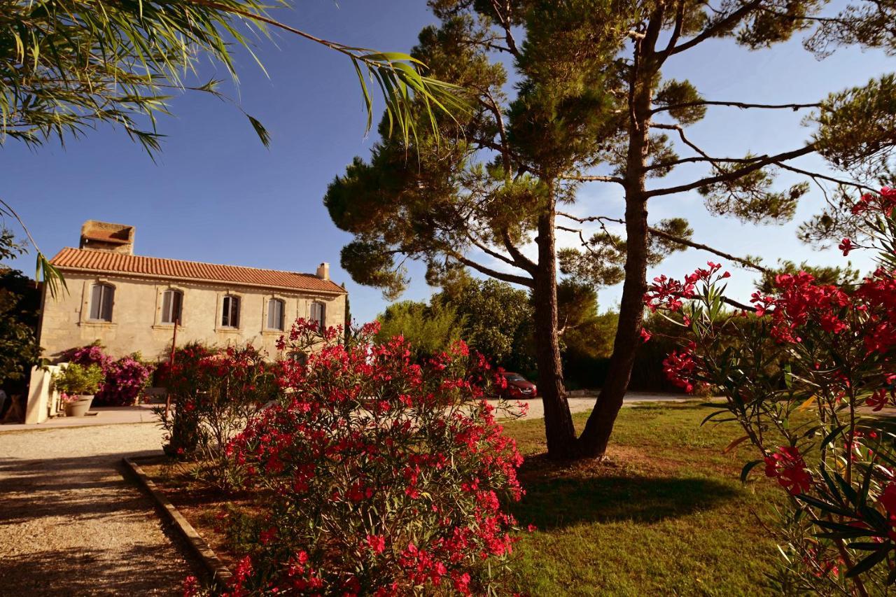 Maison Tara Verte Au Mas Montredon Arles Exteriör bild