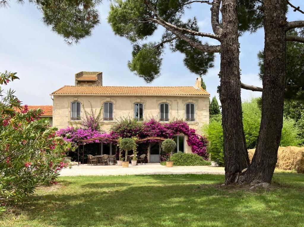 Maison Tara Verte Au Mas Montredon Arles Exteriör bild